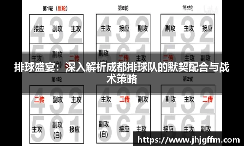 排球盛宴：深入解析成都排球队的默契配合与战术策略